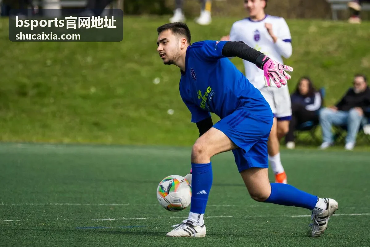 bsports官网地址赛程与联赛数据