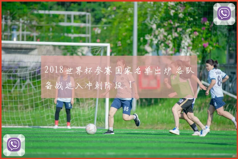 2018世界杯参赛国家名单出炉 各队备战进入冲刺阶段_1