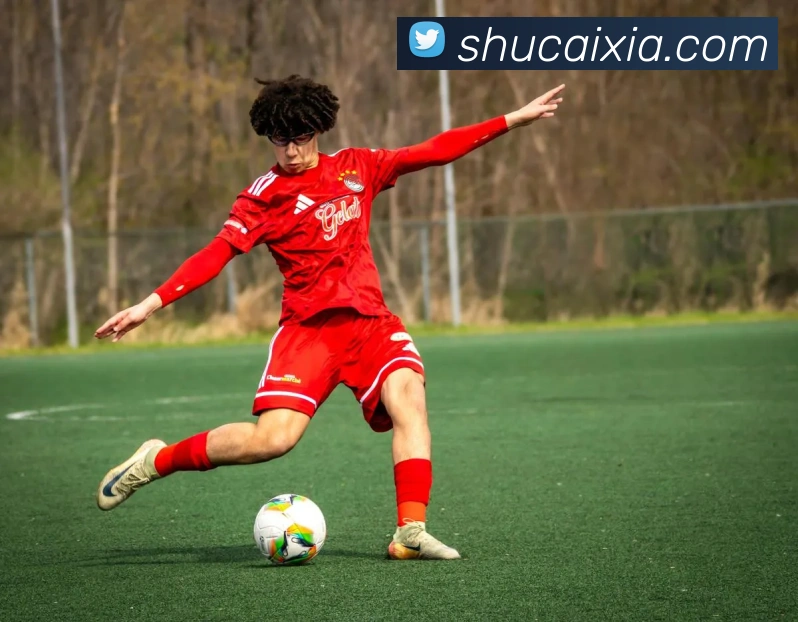 必一运动体育官网APP 封面图